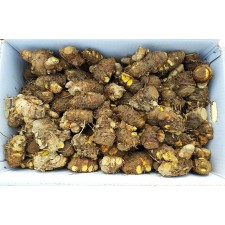 강황(울금)종자보다 생산량 많은 원순광(그루터기)(특)심는법 판매자팁 10kg